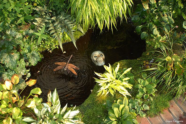 Halloween Pond Decor...